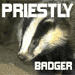 Priestly Badger's Avatar