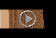 Airbag Trail Dubbed "Magic Carpet