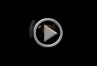 Cassini's Flyby 'Doubleheader'